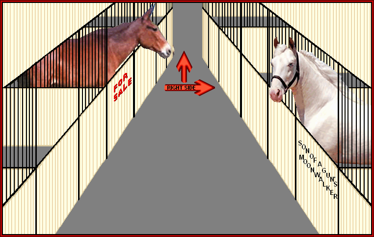 Our stallions deliver some of the most time honored bloodlines in the breed.  Click on a ghost horse to read a little of their history.