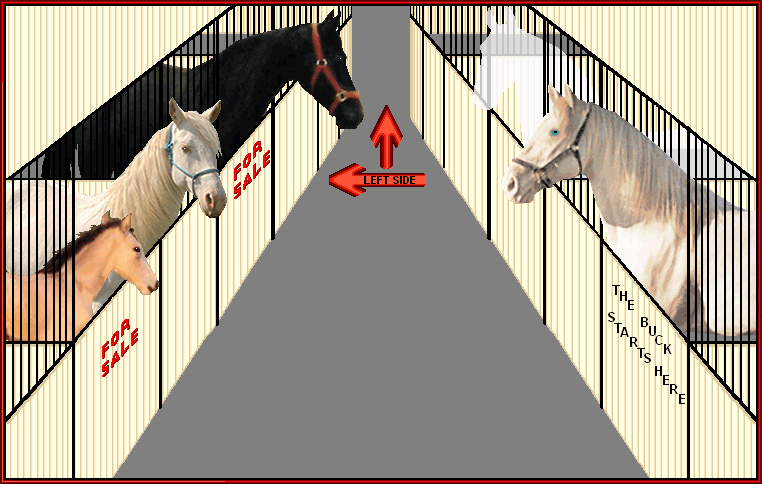 We have gaited horses of every size, gender, age group, bloodline and description.  Take your pick.