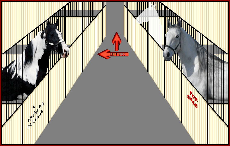 Our stallions deliver some of the most time honored bloodlines in the breed.  Click on a ghost horse to read a little of their history.