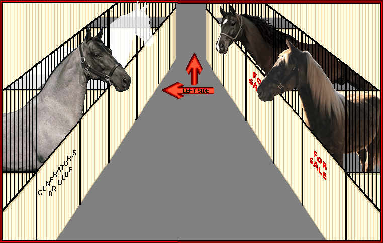 Walkers West offers you a veritable rainbow of colors to choose your Tennessee Walking Horse from.