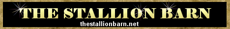 The Stallion Barn