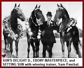 Setting Sun, Ebony Masterpiece and Sun's Delight D.