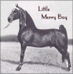 Little Merry Boy