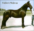 FASHIONS NIGHTCAP - grandson of Prides Fashion HW and Merry Night Cap - gelding. 1991