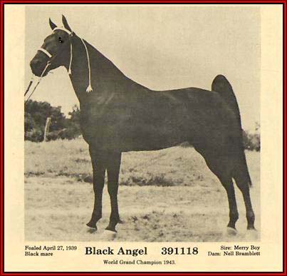 Black Angel posed.