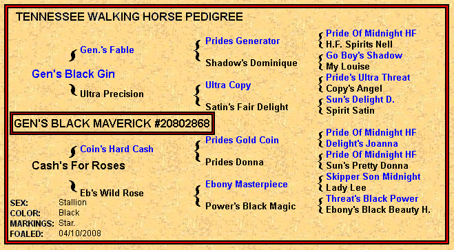 Gen's Black Maverick Pedigree