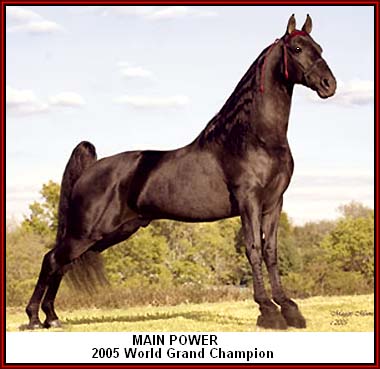 Main Power - 2005 W G CH