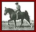 Merry Go Boy - 1947 and 1948 World Grand Champion