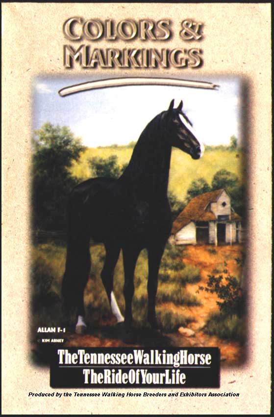 Tennessee Walking Horse Color Chart