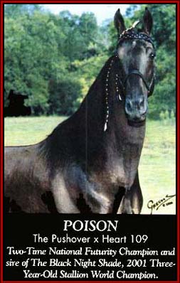Poison