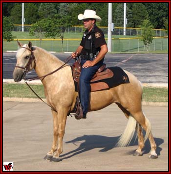 Bum's Warrior daughter, Cassie and her owner, Nic Bristow of the Desoto, Tx. police force.