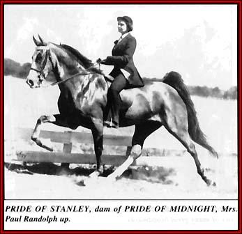 Pride of Stanley