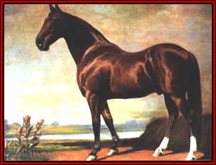 Rhysdyk's Hambletonian AKA Hambletonian