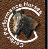 Carter Performance Horses