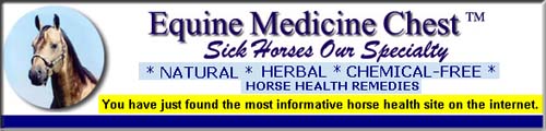 Equine Medicine Chest - you have just found the most informative horse health site on the internet!! Natural * Herbal* Chemical-Free Horse Health Remedies.