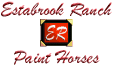 Paint horses for sale all across the U.S. Pay on time with your credit card.