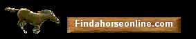 Findahorse Info Directory