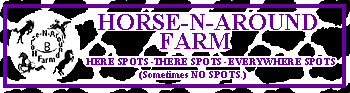 Horse-N-Around Farm - Here Spots, There Spots, Everywhere - SPOTS ! (sometimes, no spots).
