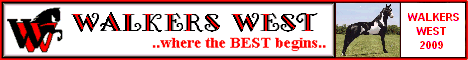 WALKERS WEST - where the BEST begins!! Tennessee Walking horses - Breeding and Sales, world wide. We can get the RIGHT horse for you.